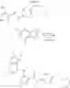 Fig. 07 - Polycyclic substituted pyrazole kinase activity inhibitors and use thereof