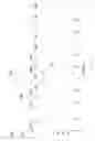Fig. 05 - CONJUGATES AND SMALL MOLECULES WHICH INTERACT WITH THE CD16A RECEPTOR