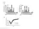 Fig. 06 - Compositions and methods relating to hindering DOT1L recruitment by MLL-fusion proteins