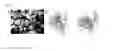 Fig. 22 - Compositions and methods relating to hindering DOT1L recruitment by MLL-fusion proteins