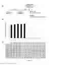 Fig. 02 - Lentiviral vector based immunological compounds against malaria