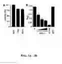 Fig. 03 - Compositions and methods related to antibodies that neutralize coagulase activity during disease