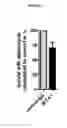 Fig. 09 - Anti-staphylococcal antibodies