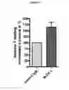 Fig. 12 - Anti-staphylococcal antibodies