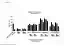 Fig. 09 - Interferon α and ω antibody antagonists