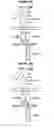 Fig. 34 - CHIMERIC ANTIGEN RECEPTOR AND METHODS OF USE THEREOF