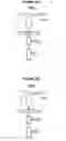 Fig. 41 - CHIMERIC ANTIGEN RECEPTOR AND METHODS OF USE THEREOF