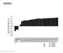 Fig. 07 - ANTIBODY VARIANTS HAVING MODIFICATIONS IN THE CONSTANT REGION