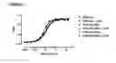 Fig. 08 - ANTIBODY VARIANTS HAVING MODIFICATIONS IN THE CONSTANT REGION