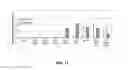 Fig. 13 - ANTIBODY VARIANTS HAVING MODIFICATIONS IN THE CONSTANT REGION