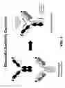 Fig. 02 - Multispecific constructs