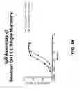 Fig. 04 - Multispecific constructs