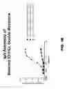 Fig. 05 - Multispecific constructs