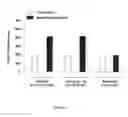 Fig. 02 - COMPOSITIONS AND METHODS FOR TREATING OPHTHALMIC DISORDERS