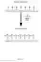 Fig. 02 - Methods for Biodegradable Derivatization of Cellulosic Surfaces