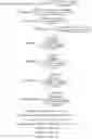 Fig. 02 - Esterified cellulose ethers of very high molecular weight