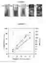 Fig. 02 - Coagulation of biopolymers from ionic liquid solutions using CO