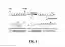 Fig. 02 - Thermally-activated self-immolative materials
