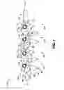 Fig. 02 - Latex primer composition and latex primed substrates