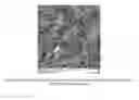 Fig. 06 - Light weight proppant with improved strength and methods of making same