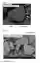 Fig. 02 - Solid particle, solid lubricant, and metal member