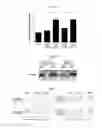 Fig. 02 - Induced regulatory T cell and use thereof