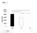 Fig. 02 - METHOD FOR SEPARATING CELL FROM BIOLOGICAL TISSUE