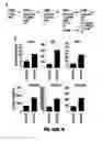 Fig. 71 - METHODS FOR INDUCTION OF CELL FATES FROM PLURIPOTENT CELLS
