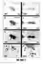Fig. 76 - METHODS FOR INDUCTION OF CELL FATES FROM PLURIPOTENT CELLS