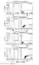 Fig. 85 - Modulation of cardiac stem-progenitor cell differentiation, assays and uses thereof