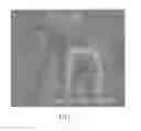 Fig. 02 - CRYSTALLINE MATERIALS ON BIOLOGICAL TISSUE AND METHODS FOR MAKING THE SAME