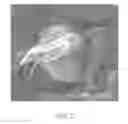 Fig. 03 - CRYSTALLINE MATERIALS ON BIOLOGICAL TISSUE AND METHODS FOR MAKING THE SAME