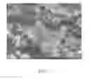 Fig. 06 - CRYSTALLINE MATERIALS ON BIOLOGICAL TISSUE AND METHODS FOR MAKING THE SAME