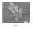 Fig. 07 - CRYSTALLINE MATERIALS ON BIOLOGICAL TISSUE AND METHODS FOR MAKING THE SAME