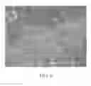 Fig. 09 - CRYSTALLINE MATERIALS ON BIOLOGICAL TISSUE AND METHODS FOR MAKING THE SAME