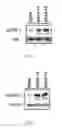 Fig. 02 - Pharmaceutical Composition for Elevating Radiation-Sensitivity of Cancer Cells, Pharmaceutical Composition for Detecting Cancer Cells with Radiation-Sensitivity, and Detection Method Thereof