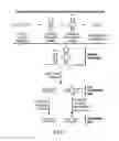Fig. 02 - ShRNA molecules and methods of use thereof