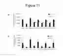 Fig. 16 - Methods to screen compounds for regulating USF1 activity and methods and compounds to treat cardiometabolic and lipid pathologies