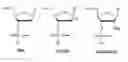 Fig. 01 - OLIGONUCLEOTIDES COMPRISING ALTERNATING SEGMENTS AND USES THEREOF