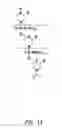 Fig. 02 - ANTISENSE MODULATION OF NUCLEAR HORMONE RECEPTORS