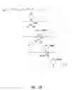 Fig. 03 - ANTISENSE MODULATION OF NUCLEAR HORMONE RECEPTORS