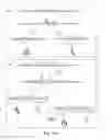 Fig. 02 - METHOD FOR ISOLATION OF TRANSCRIPTION TERMINATION SEQUENCES