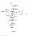 Fig. 11 - PROCESS FOR THE SEQUESTRATION OF CARBON DIOXIDE AND THE FERMENTATIVE PRODUCTION OF ORGANIC COMPOUNDS