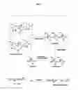 Fig. 02 - PROCESSING BIOMASS