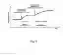 Fig. 06 - Method for sequencing a template nucleic acid immobilized on a substrate