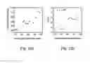 Fig. 09 - Method for sequencing a template nucleic acid immobilized on a substrate