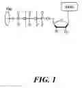 Fig. 02 - Chemical methods for producing tagged nucleotides