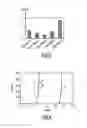 Fig. 04 - Metal sheet with a ZnAlMg coating having a particular microstructure, and corresponding production method