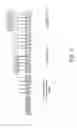 Fig. 02 - Crosslinking/functionalization system for a paper or non-woven web