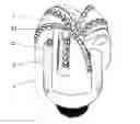 Fig. 01 - Composite drill bit